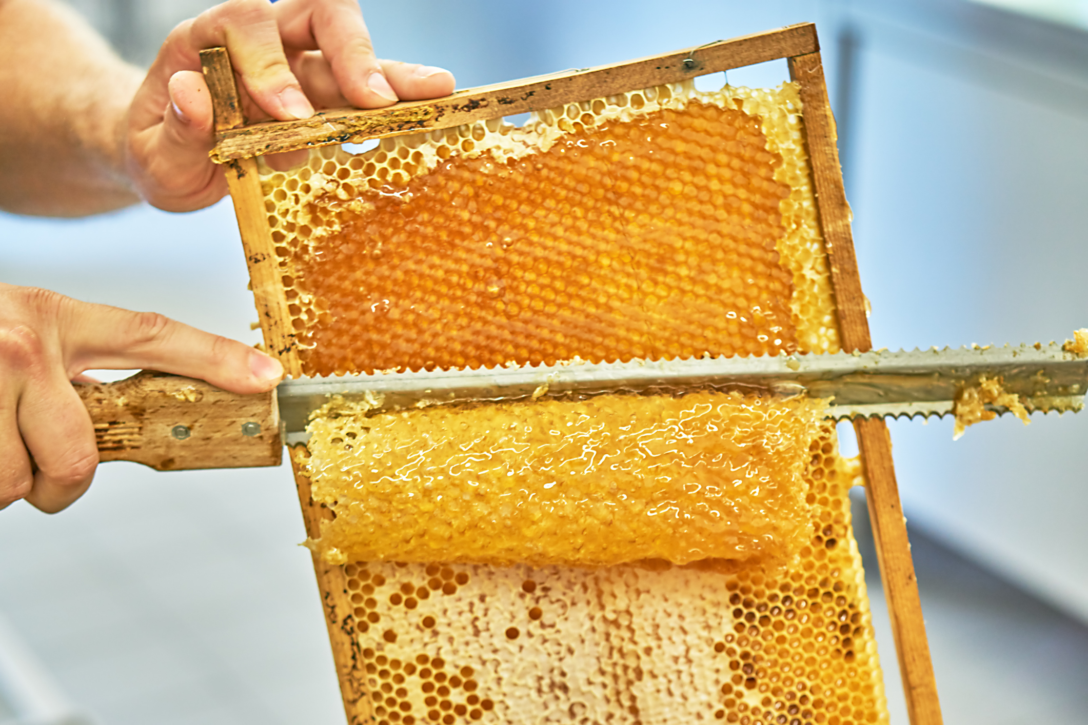 Honey Harvesting