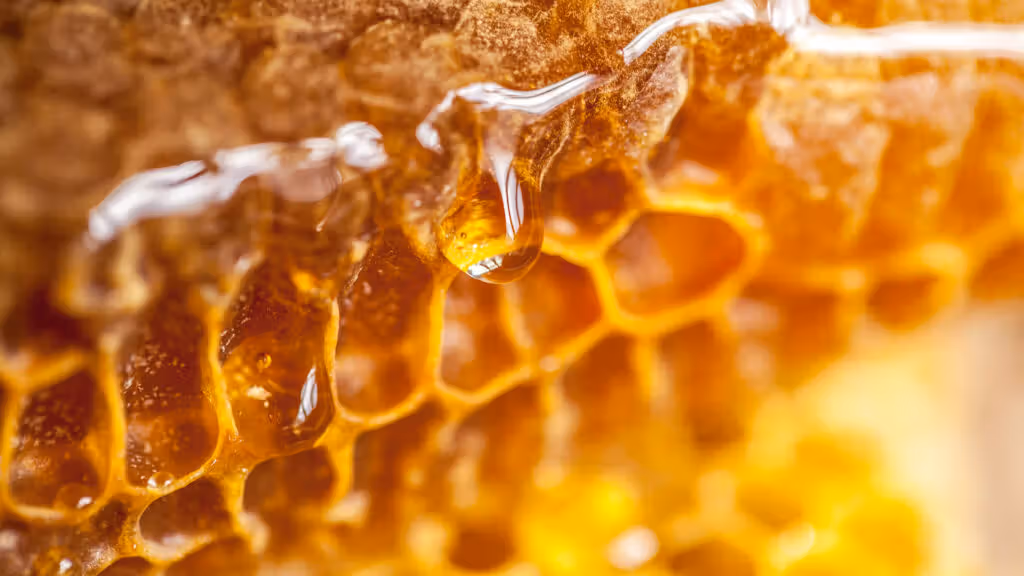 Bekam Bees Enterprise beekeeping equipment and supplies in Nairobi Kenya