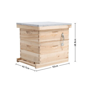 Imported Langstroth Hive