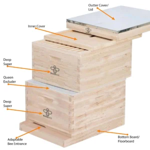 Langstroth Hive