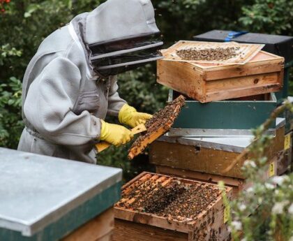 Beekeeping equpments supply nairobi kenya